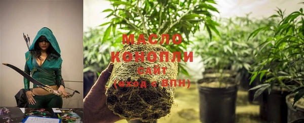 молекула духа Тихвин